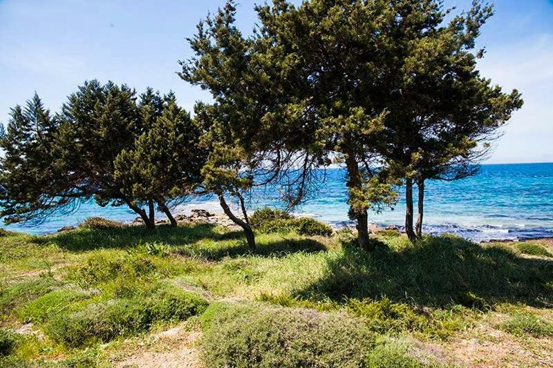 A House Between Ancient Olympia And The Ionian Sea Levendokhorion Luaran gambar