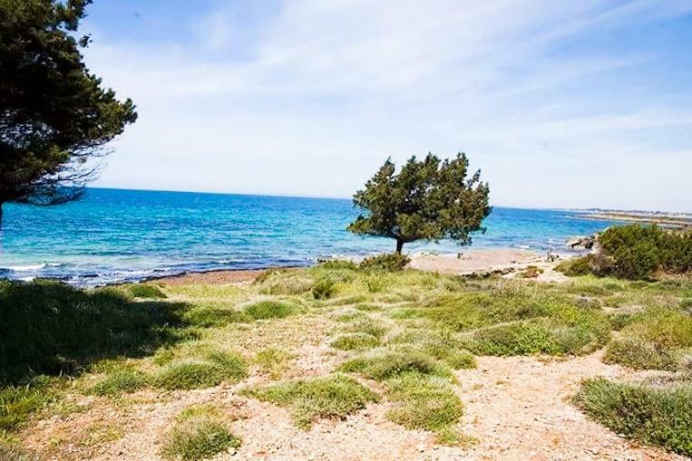 A House Between Ancient Olympia And The Ionian Sea Levendokhorion Luaran gambar