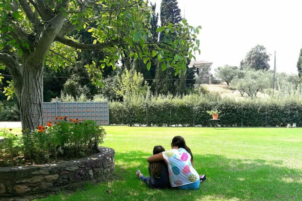 A House Between Ancient Olympia And The Ionian Sea Levendokhorion Luaran gambar